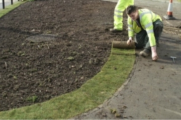 An image of a new lawn being laid in Croydon