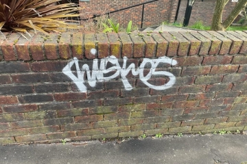 Graffiti on a garden wall in Croydon