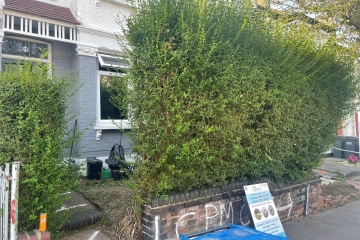 An overgrown hedge needing to be cut back in Croydon