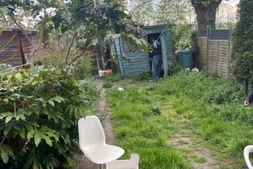 An overgrown garden  in Croydon awaiting a clearance