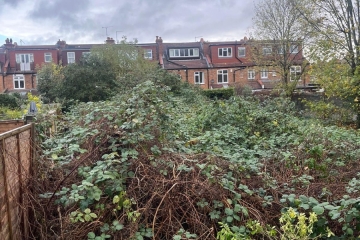 An overgrown allotment in Croydon