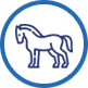 equestrian Equestrian Landscaping Services